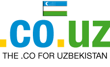 .co.uz domain image