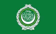 .arab domain image