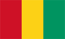 Guinea flag