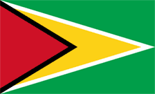 Guyana flag
