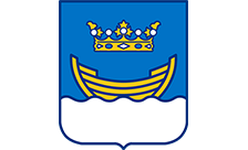 .helsinki domain image