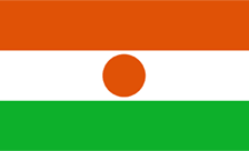 Niger flag