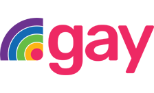 .gay domain image