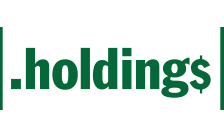 .holdings domain image
