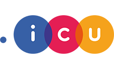 .icu domain image