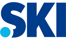.ski domain image
